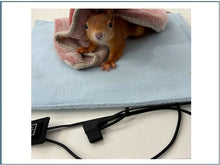 Laden Sie das Bild in den Galerie-Viewer, Mobile Wärmematte für Kleintiere mit USB*Anschluss