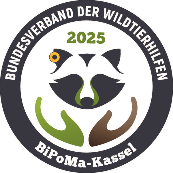 Tierschutzkonforme Reduktion von Waschbären