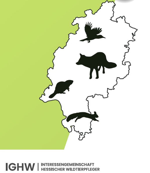 Netzwerk des Tierwissens - Interessengemeinschaft Hessischer Wildtierpfleger