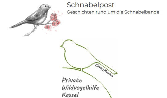 Unterstützung für Vogelhilfen in Hessen