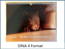 Laden Sie das Bild in den Galerie-Viewer, Kalender 2026 Aktion Eichhörnchen