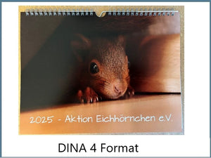 Kalender 2026 Aktion Eichhörnchen