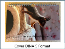 Laden Sie das Bild in den Galerie-Viewer, Kalender 2026 Aktion Eichhörnchen