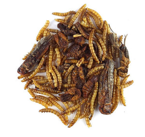 Igel-Fit - Protein-Snack aus getrockneten Insekten