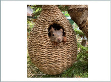 Laden Sie das Bild in den Galerie-Viewer, Eichhörnchenkobel aus Schilfgras