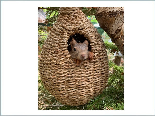 eichhörnchen blumenkasten Eichhörnchenkobel aus Schilfgras