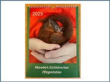 Laden Sie das Bild in den Galerie-Viewer, Mareike&#39;s Eichhörnchenkalender 2026