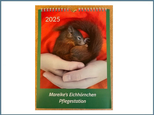 Mareike's Eichhörnchenkalender 2026