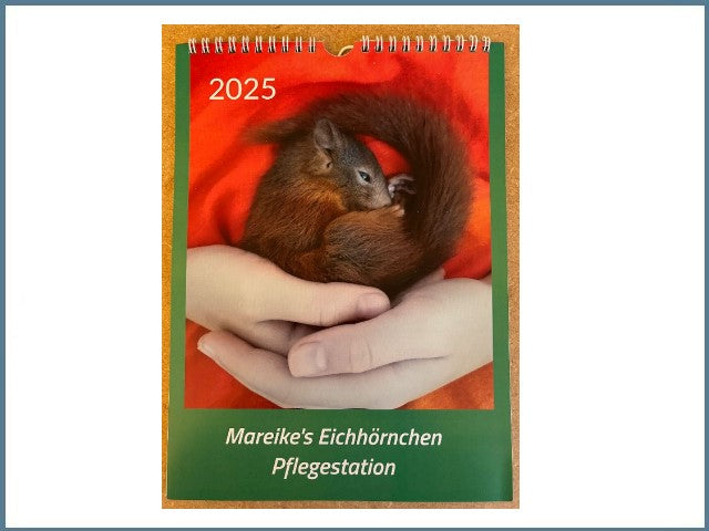 Mareike's Eichhörnchenkalender 2026