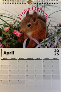 Mareike's Eichhörnchenkalender 2026