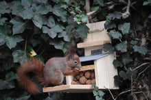 Laden Sie das Bild in den Galerie-Viewer, Nachhaltiges Eichhörnchen Futterhaus