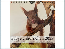 Laden Sie das Bild in den Galerie-Viewer, Babyeichhörnchen 2023 - Tischkalender