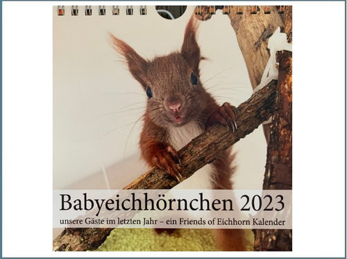 Babyeichhörnchen 2023 - Tischkalender