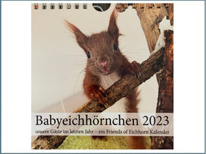 Babyeichhörnchen 2023 - Tischkalender