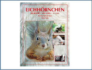 Eichhörnchen