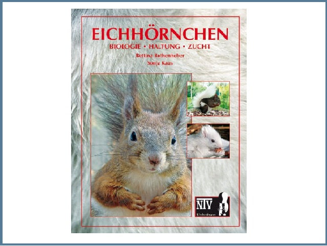 Eichhörnchen