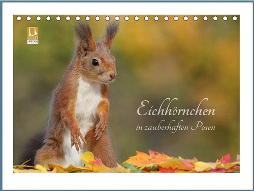 Eichhörnchen in zauberhaften Posen - Kalender 2024