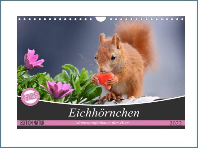 Eichhörnchen  - Kalender 2023