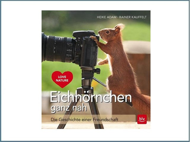 Eichhörnchen ganz nah