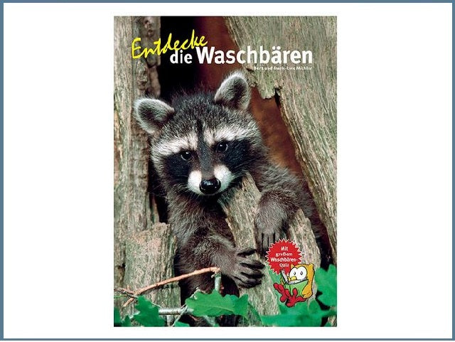 Entdecke die Waschbären – Waldkobolde.shop