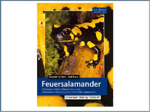 Der Feuersalamander