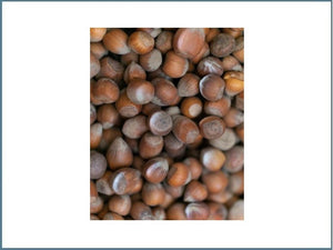 1-3Kg Haselnuss in der Schale 15-17mm  Deutschland