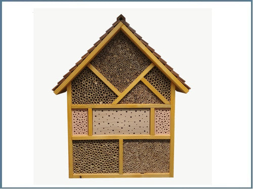 Hotel - zur Bienenkönigin