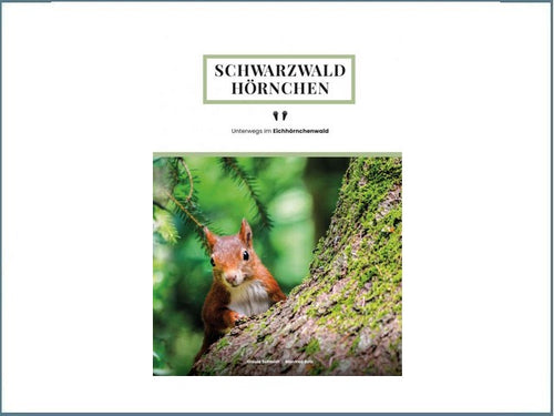Schwarzwaldhörnchen