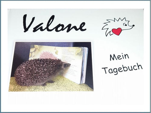 Valone - Tagebuch eines Igels
