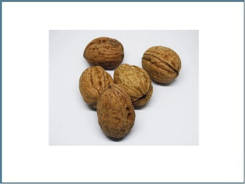 5-20Kg Walnuss in der Schale 26-30mm